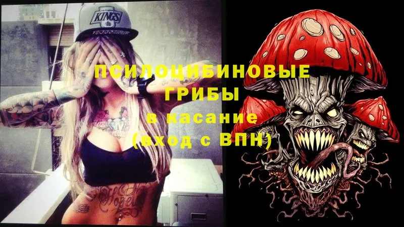 Галлюциногенные грибы MAGIC MUSHROOMS  Сыктывкар 